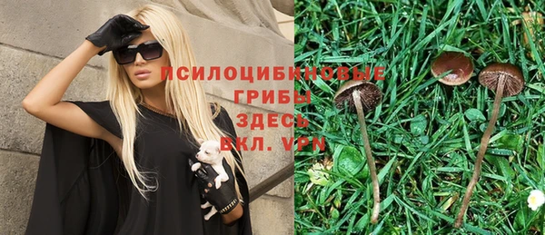 соль ск Нефтегорск