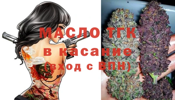 гашик Надым