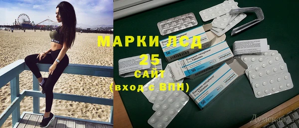 гашик Надым