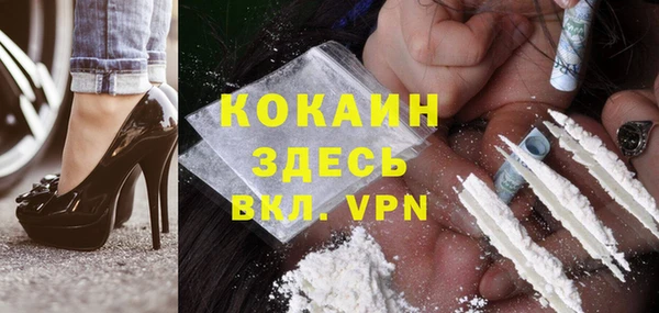 МДПВ Болотное