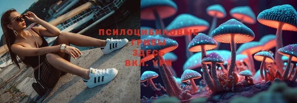 соль ск Нефтегорск