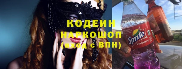 гашик Надым