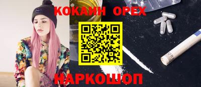 крисы Бийск