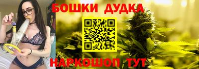 крисы Бийск