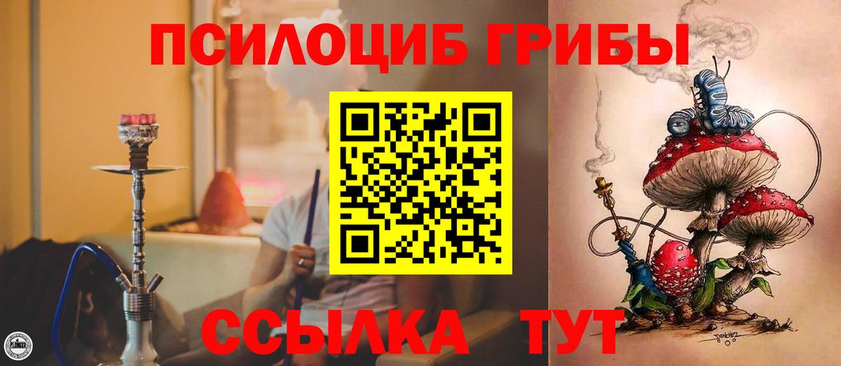 купить наркоту  Соликамск  Галлюциногенные грибы GOLDEN TEACHER  Псилоцибиновые грибы мицелий 